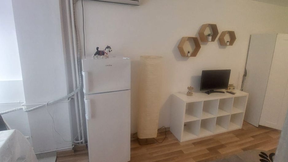 Garsoniera zona Costin Georgian - Lucretiu Patrascanu - Poză 17