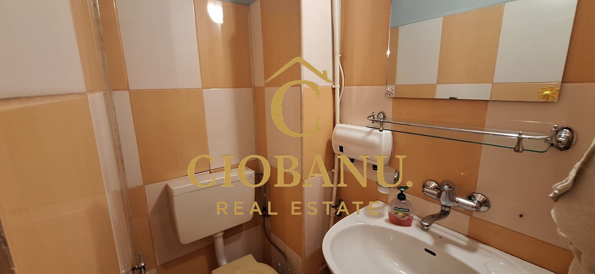 APARTAMENT DE VANZARE ETAJ 2/4 DECOMANDAT ZONA 1 MAI - Poză 10