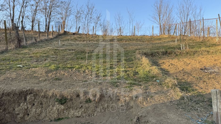 Casă spațioasă cu 5 camere în Ocna Sibiului – teren generos de 726 mp! - Poză 5