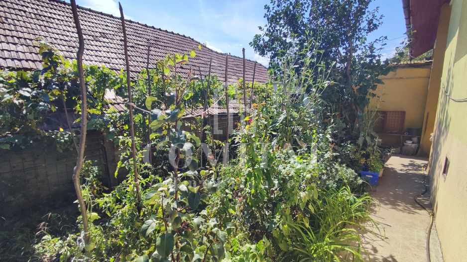 Casă cu 3 camere | 120 mp | Finisaje clasice | Dâmbul Rotund - Poză 10