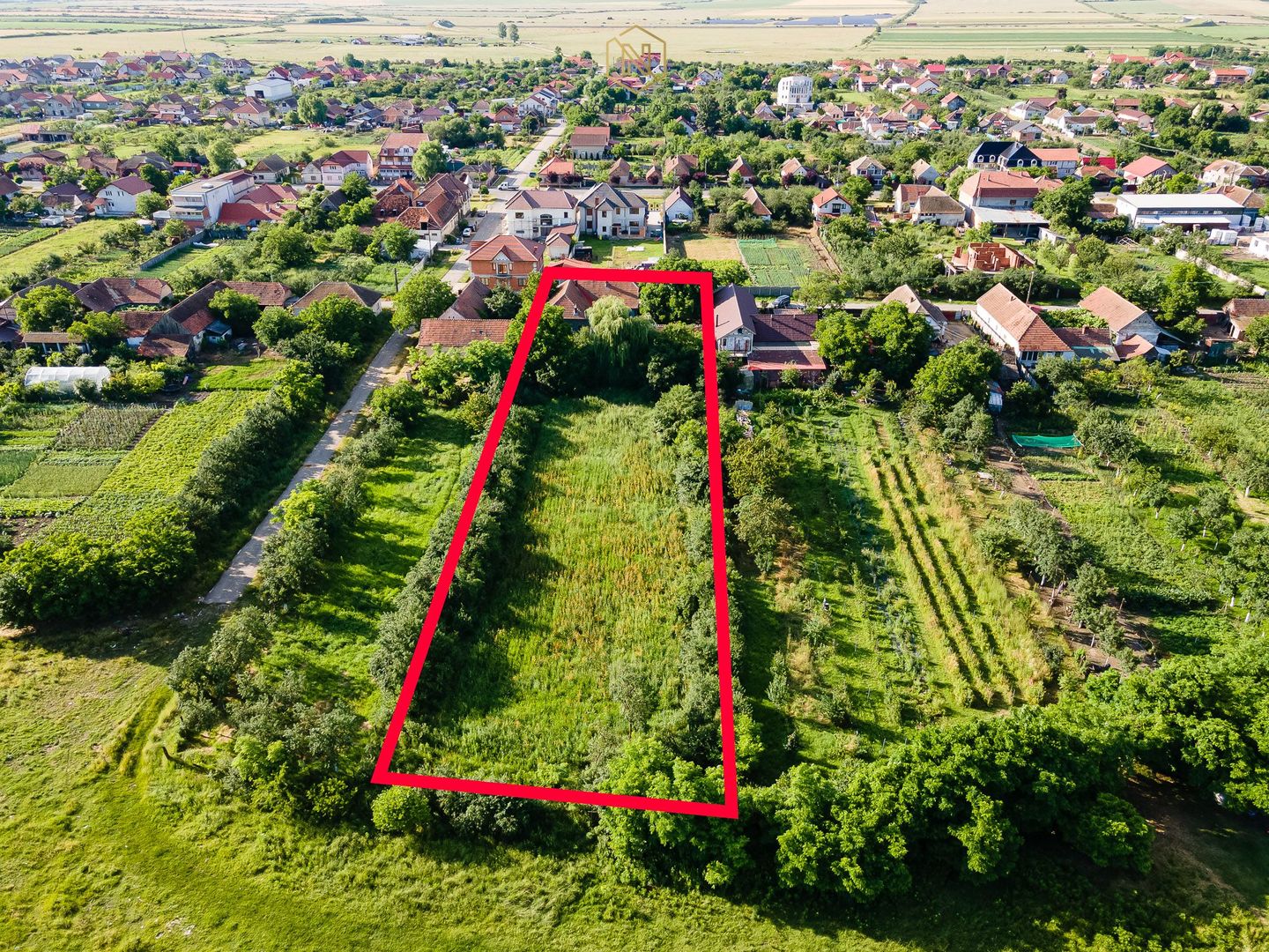 OFERTA VANDUTA  - Casa Izvin | 4 camere - 146 mp | Centrala gaz | Teren 3157 mp - Poză 6