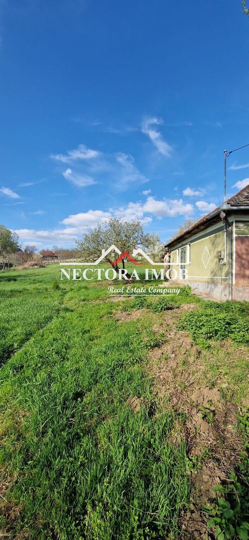 NECTORA IMOB-Casa 70 mp cu teren 951 mp, front 16 mp, Paleu Centru - Poză 4