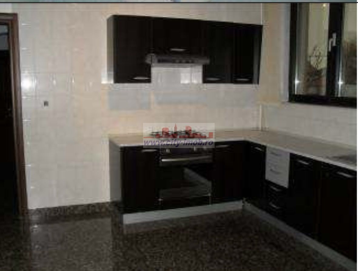 Inchiriere Vila Iancu Nicolae Gradinita, Clinica Medicala - Poză 8