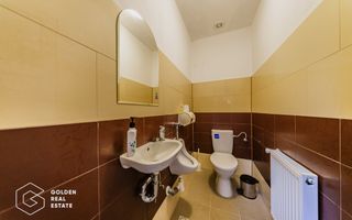 Proprietate pretabila pentru afacere, Cladova - Poză 12