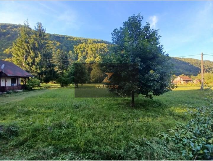 Teren de vis de vanzare in Remeti-Bihor-27p0 mp - Poză 9