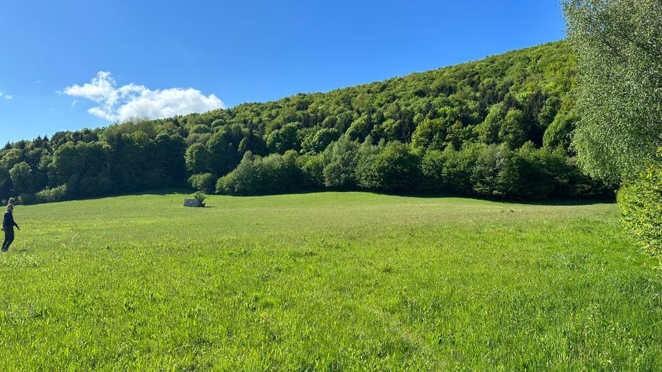 Teren Intravilan in Tocile-priveliste deosebita - Sadu - Sibiu - Poză 1