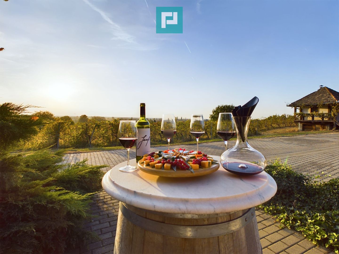 Spațiu comercial - Crama Pivnițele Birăuaș - Poză 19