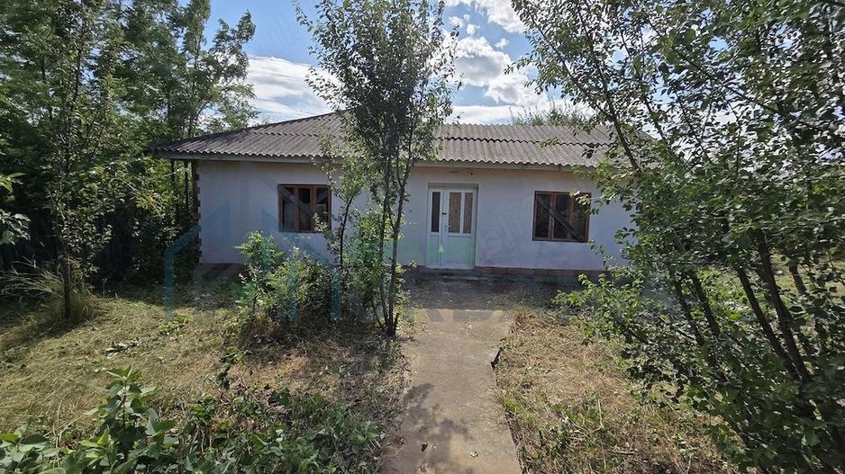 Teren intravilan 1.335 mp cu casă, comuna Erbiceni, județul Iași - Poză 5