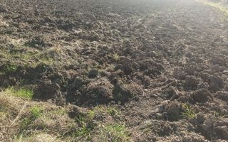 Teren 7500 mp-ideal agricultura, invetitie-Sarata - Poză 3