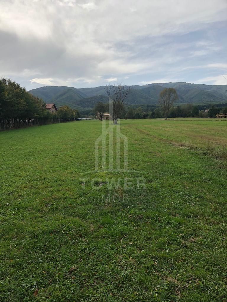 Teren Intravilan -Zona Tocile - Poză 1