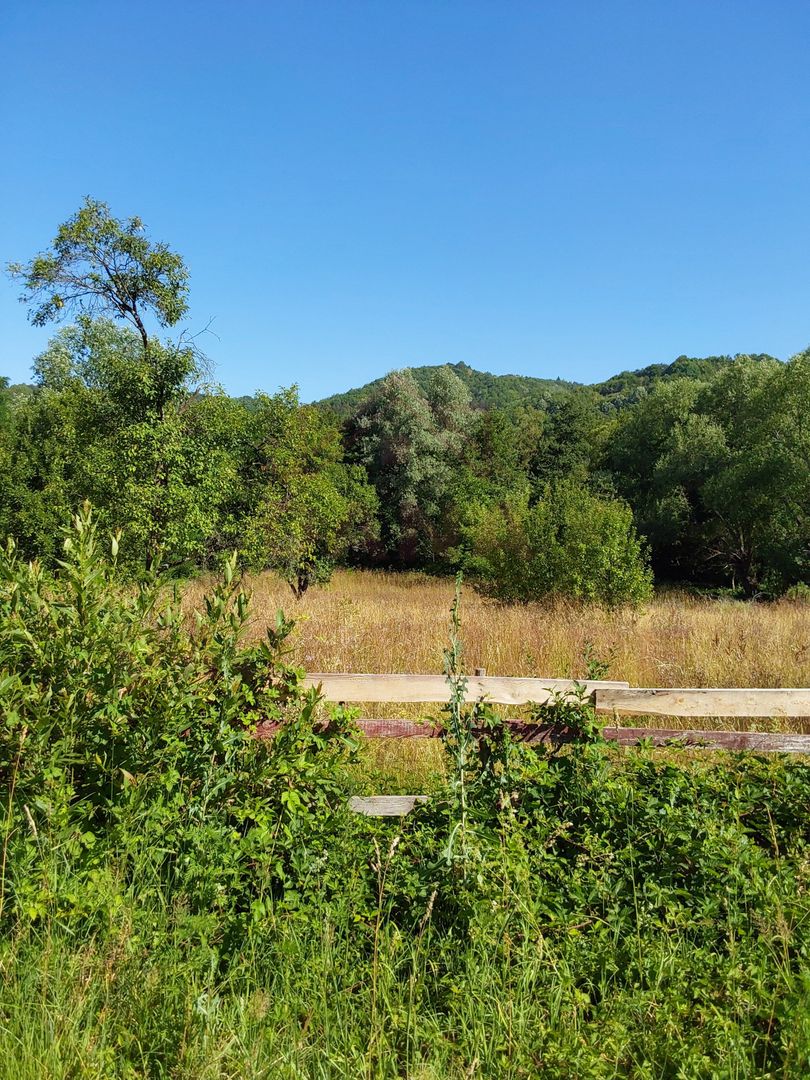 TEREN INTRAVILAN ZĂVOI\ZONA VALEA BISTREI, JUD.C-S - Poză 5