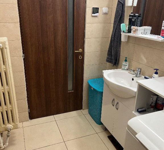 Apartament 3 camere Gradina Icoanei - Poză 14