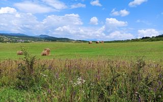 Parcele teren 4038 mp - Parcelabil - Zona Valea Stanelor - Poză 2