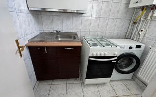 Garsoniera Alexandru cel Bun - Parcul Voievozilor - Poză 13