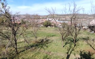 Teren intravilan 3.798 mp în Agnita, cu posibilitate de parcelare - Poză 7