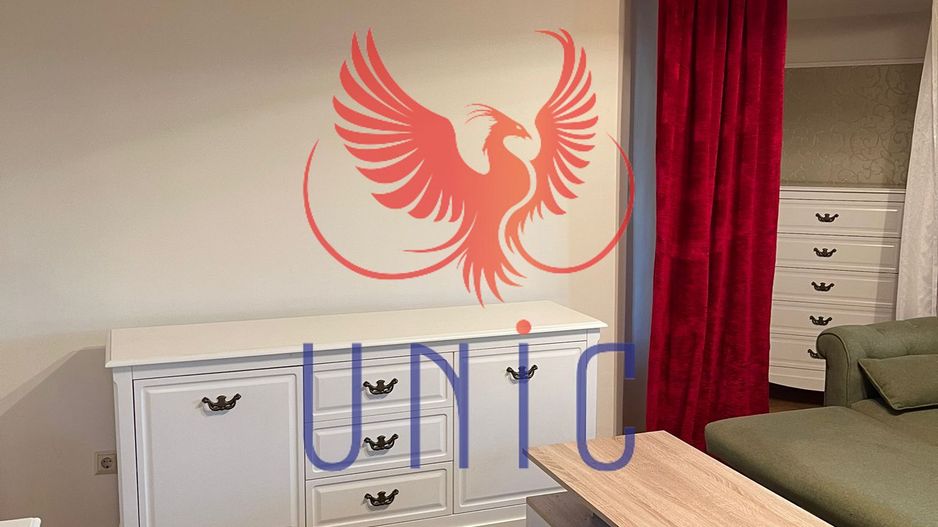 2 decomandate - Mc Donald's - 700 Euro - Poză 2