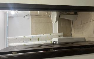 Apartament 1 cameră de închiriat în Iași, Tătărași-Flora, etaj 5/9, 2 lifturi, renovat, mobilat, utilat - Poză 3