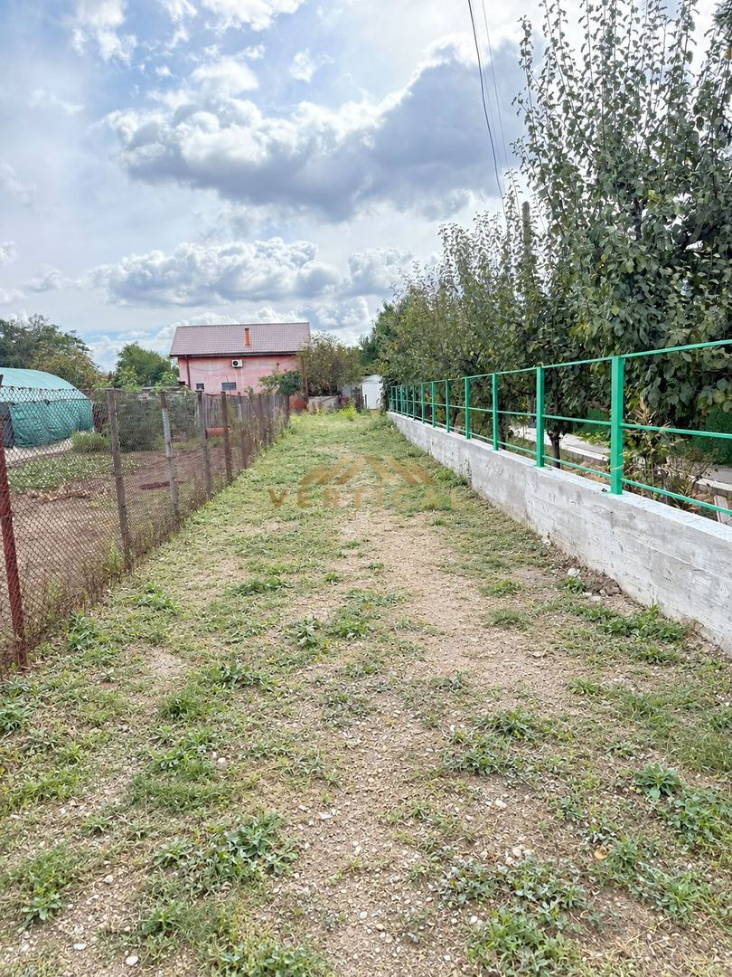 TEREN RAR DE 1.003 MP – O OAZĂ DE VERDEAȚĂ ÎN MIJLOCUL COMUNEI BERCENI - Poză 5