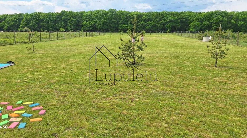 Teren Extravilan | 2.000 MPU | Intabulat | Zonă liniștită - Poză 5