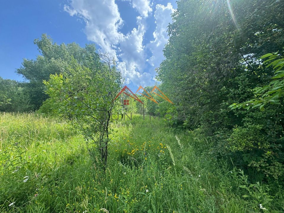 Teren 2037 mp, 17 ml deschidere, 28 euro/m2, vedere panoramica - Poză 6