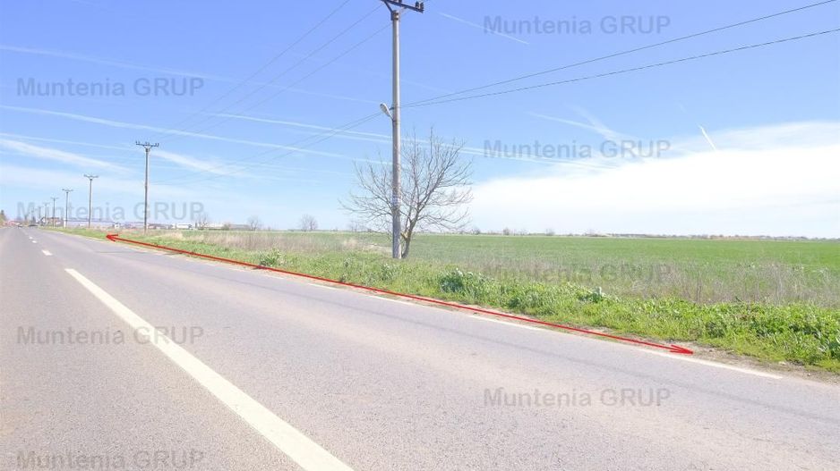 Unicat ! Dascalu, 65.000 mp. teren cu deschidere de 102 ml. la DJ 200 - Poză 2