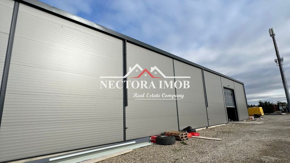 NECTORA IMOB-Hala industriala NOUA 2025, 590 mp util + 3000 mp teren - Poză 3