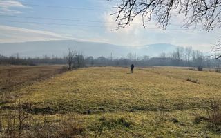 Teren 2754 mp-pretabil agricultura-Livezile - Poză 4