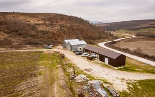 Vie de 115 Hectare în satul Dud, județul Arad - Poză 8