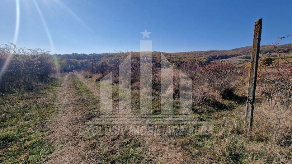 Teren intravilan de vanzare, Cetate - Poză 4