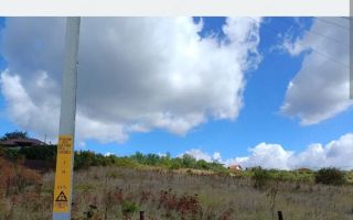 Teren intravilan de vanzare in Chicerea, Tomesti - 500 mp - Poză 5