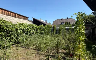 Casa stil austriac | Bogdan Voda | 520 MP teren | 115000 Euro - Poză 12
