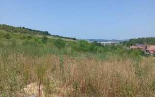 Teren de vanzare | 8800 mp | Viile Dealul Mic - Poză 3