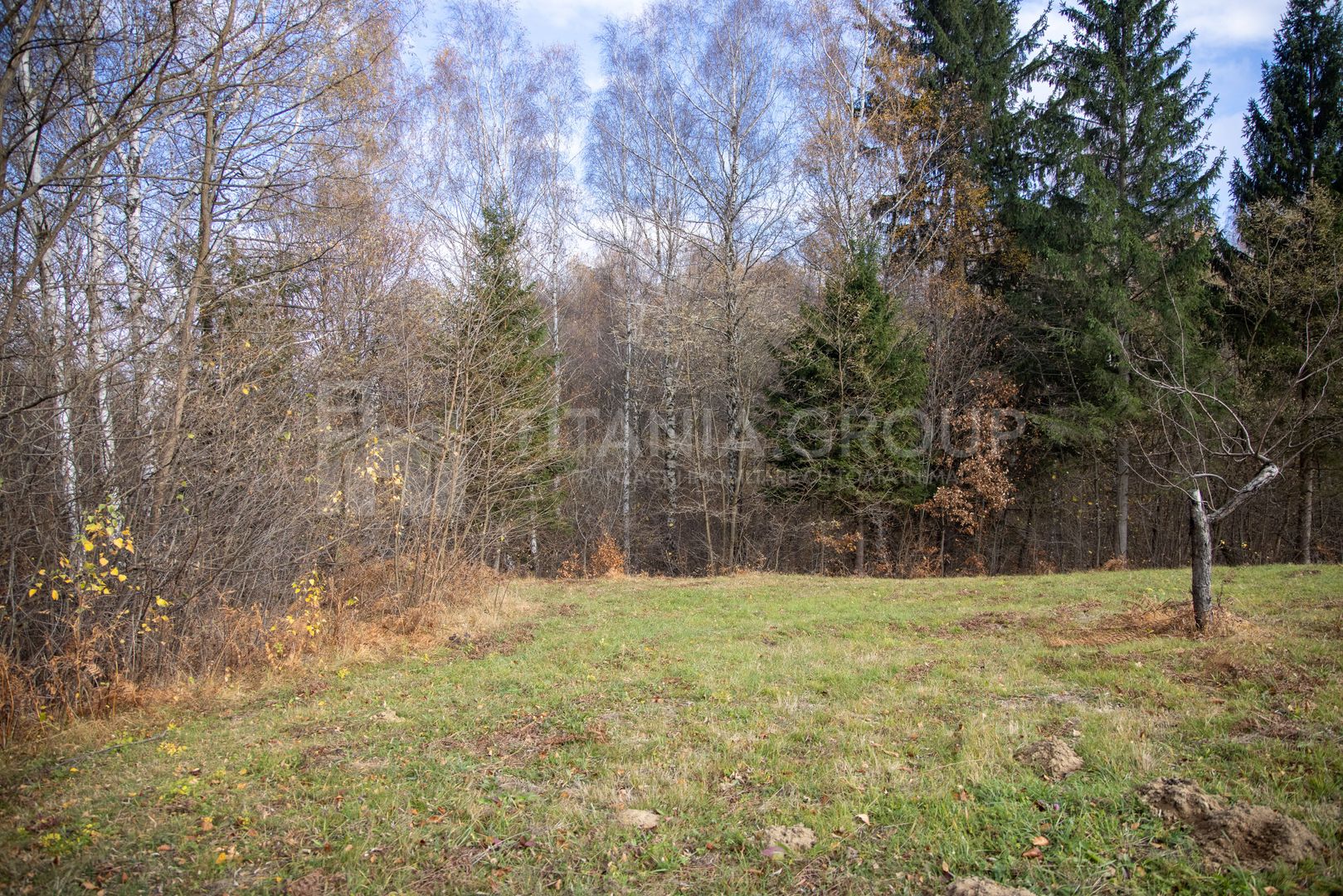 Teren intravilan, cu PUZ, Bran Tohanita,  SE ACCEPTĂ ȘI SCHIMB - Poză 23