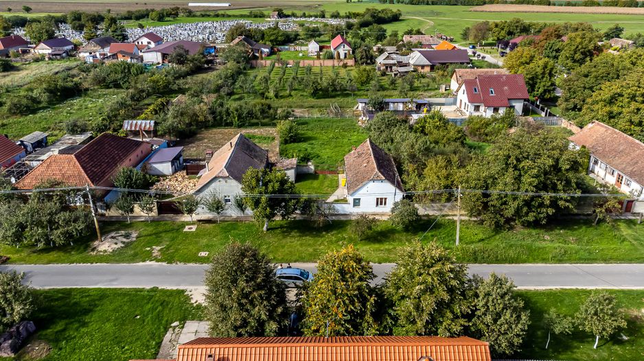 Casă cu grădină în Sântana - Poză 3