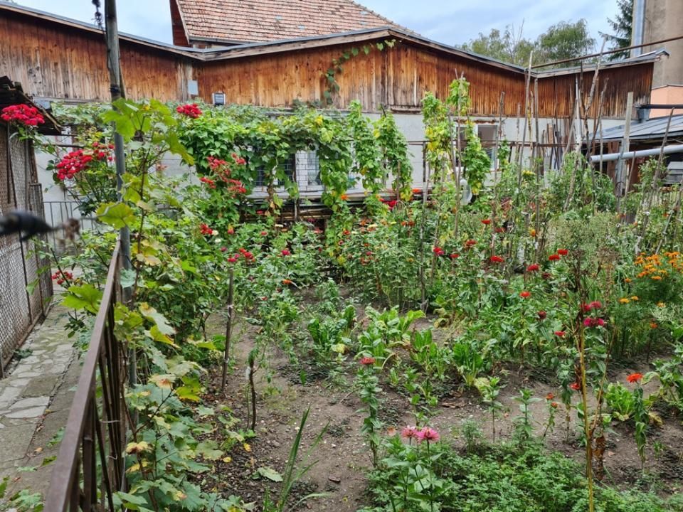 Proprietate individuala-3 apartamente,spatiu comercial,garaje,gradina,curte - Poză 10