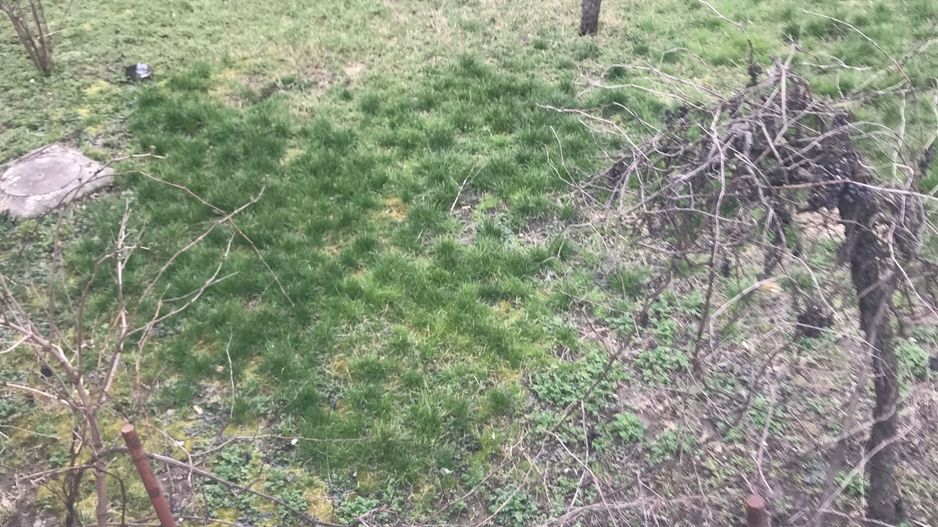 Ideala pentru diferite activitati - Poză 10