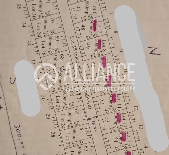 Oportunitate de Investiție (cod 12)lângă Canalul Dunăre-Mare - Poză 1