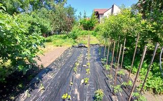 Teren intravilan 402 mp în Tecuci – zonă liniștită, deschidere 16 ml - Poză 1