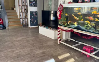 2 Unitati Duplex| Piscina|Bragadiru | Cristalului - Poză 14