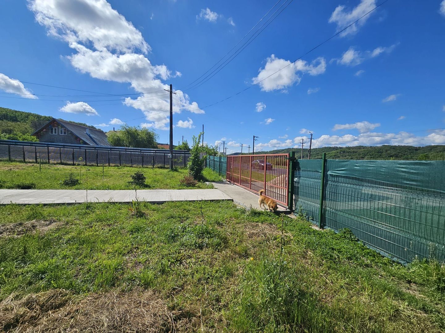 Proprietate deosebită de vânzare – Drăganu, Argeș - Poză 6