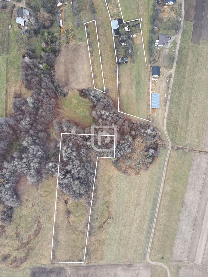 Casa traditionala la tara cu livada | Poieni-Solca - Poză 1