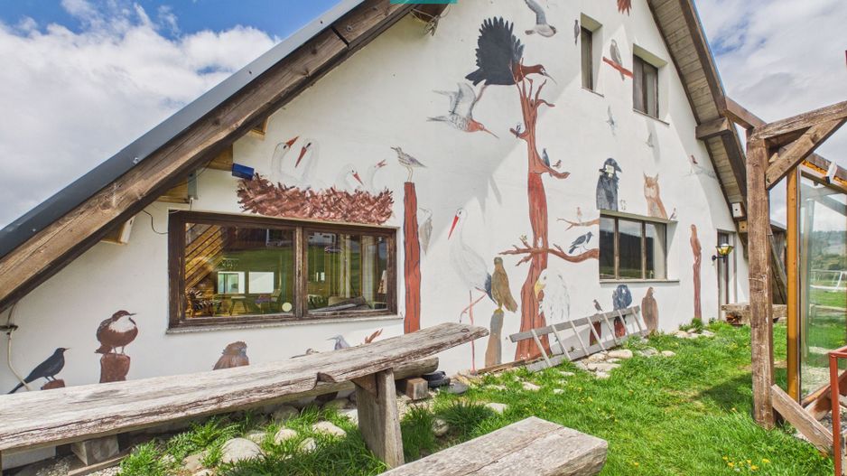 Pensiunea Birdshouse Parâng - Poză 1