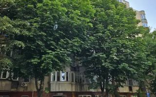 De Vanzare Garsoniera, Aparatorii Patriei Berceni, Sector 4 - Poză 10