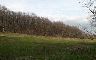 Teren Extravilan 4.572mp | Zonă liniștită | Sadu - Poză 7