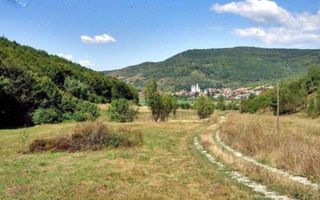 VÂNZARE RAPIDĂ – TEREN 2 HECTARE, VIILE DEJULUI, CLUJ! - Poză 3