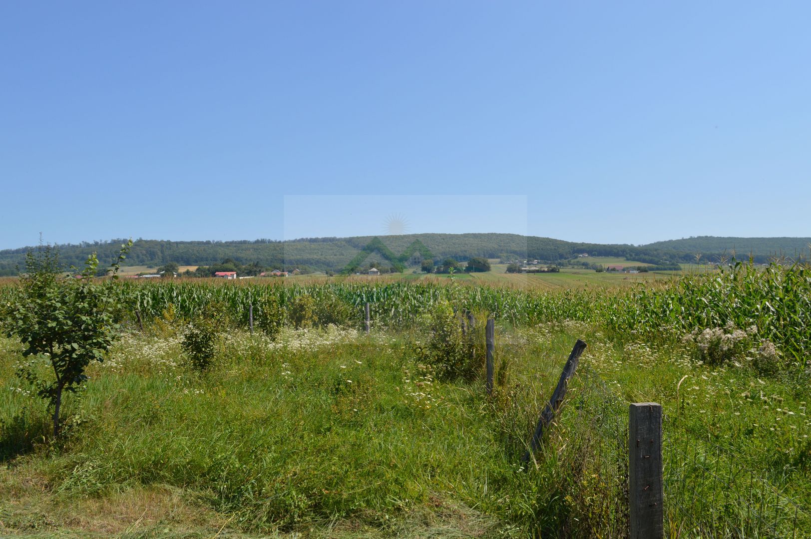 Casă 5 camere Siliștea Nouă/Suceava - Poză 6