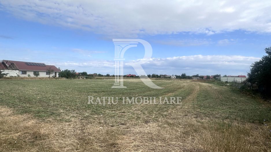 Investiție cu potențial | Teren intravilan 9.482 mp | Leș, Bihor - Poză 5
