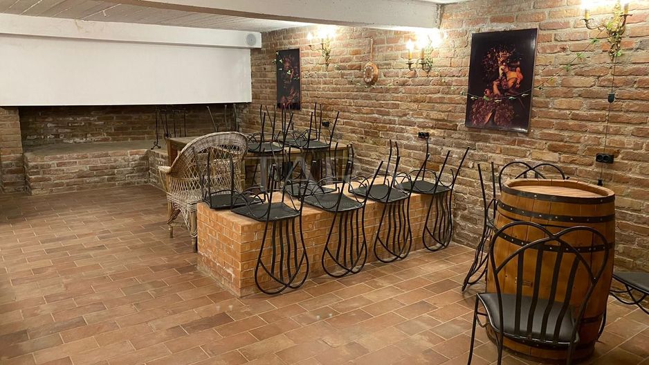 Vilă modernă cu piscină și terase generoase, zona Faget - Poză 6