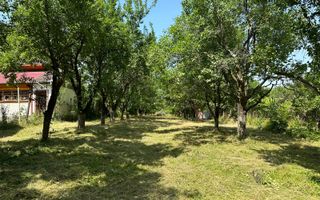 Teren 2000 mp, cu utilitati, pozitionare deosebita, Tocile - Poză 2
