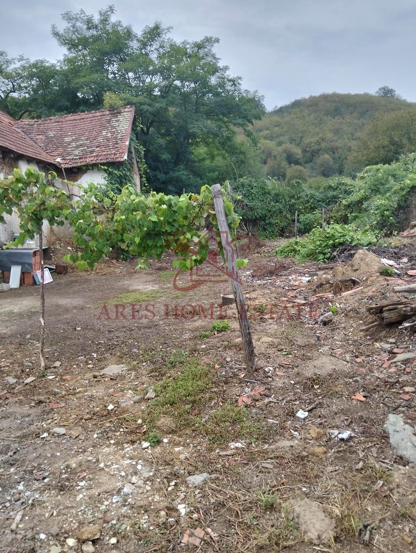 Casa spatioasa | 1500 mp teren - Ticvaniu Mare CS - Poză 9